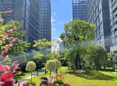 深圳龙岗宝龙公馆，7栋集体大红本花园房，地铁站300米，带双层停车场和天然气。