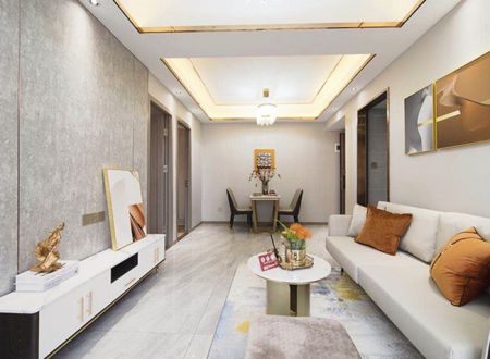 深圳宝安兴东地铁站最新开盘小产权房<豪丽华庭>二期，精装现房出售。