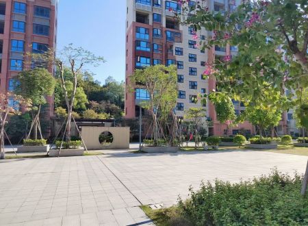 深圳龙华观澜村委统建楼<御湖天城>，8栋花园房，双层地下停车场，地铁站600米。