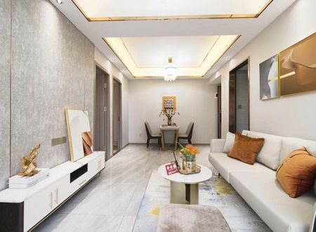 深圳宝安中心零距离西丽的小产权房《豪丽华庭》三期，2栋豪装现房，兴东地铁站280米。